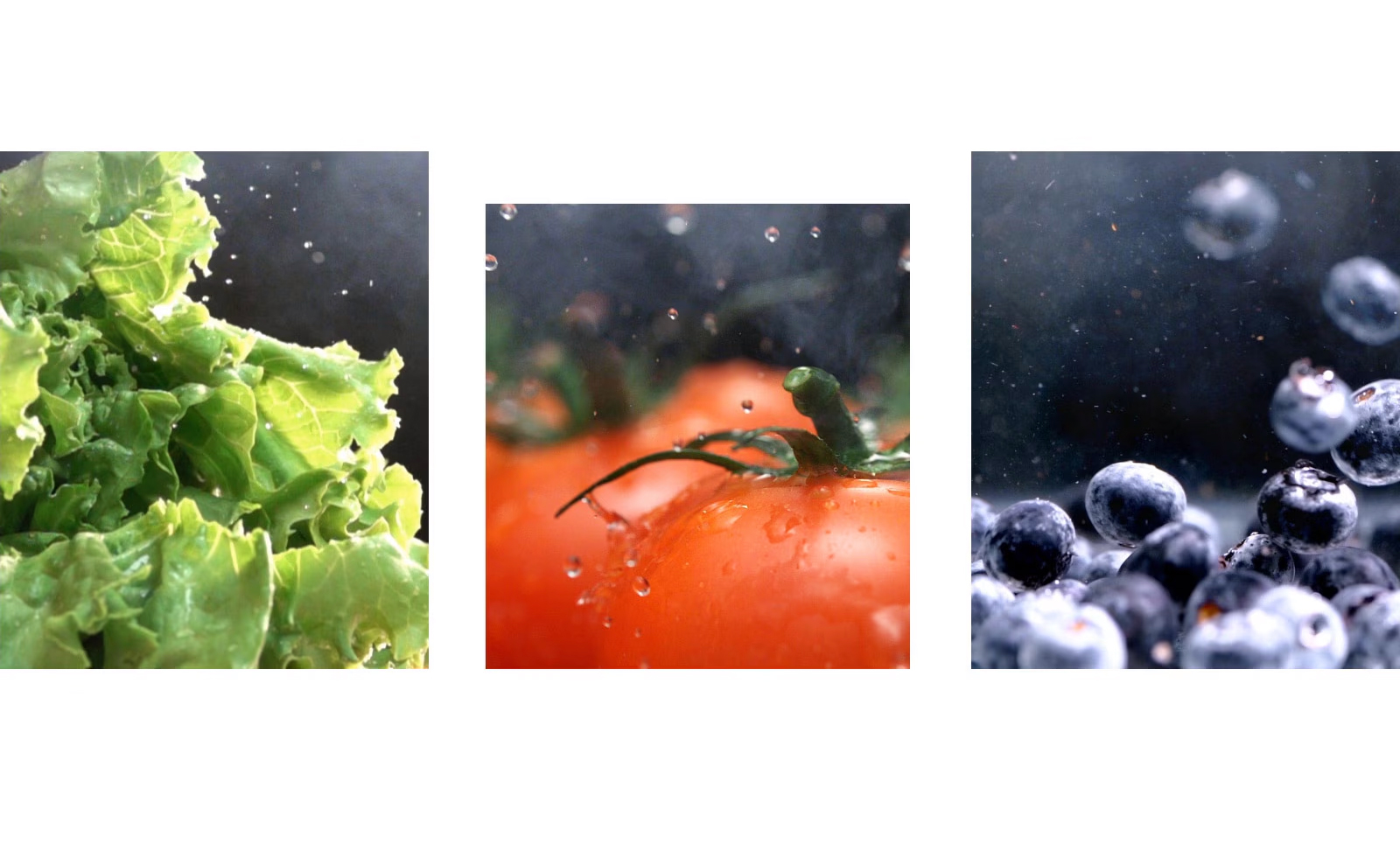 Σφραγίζει τη φρεσκάδα των τροφίμων για μεγαλύτερο χρονικό διάστημα